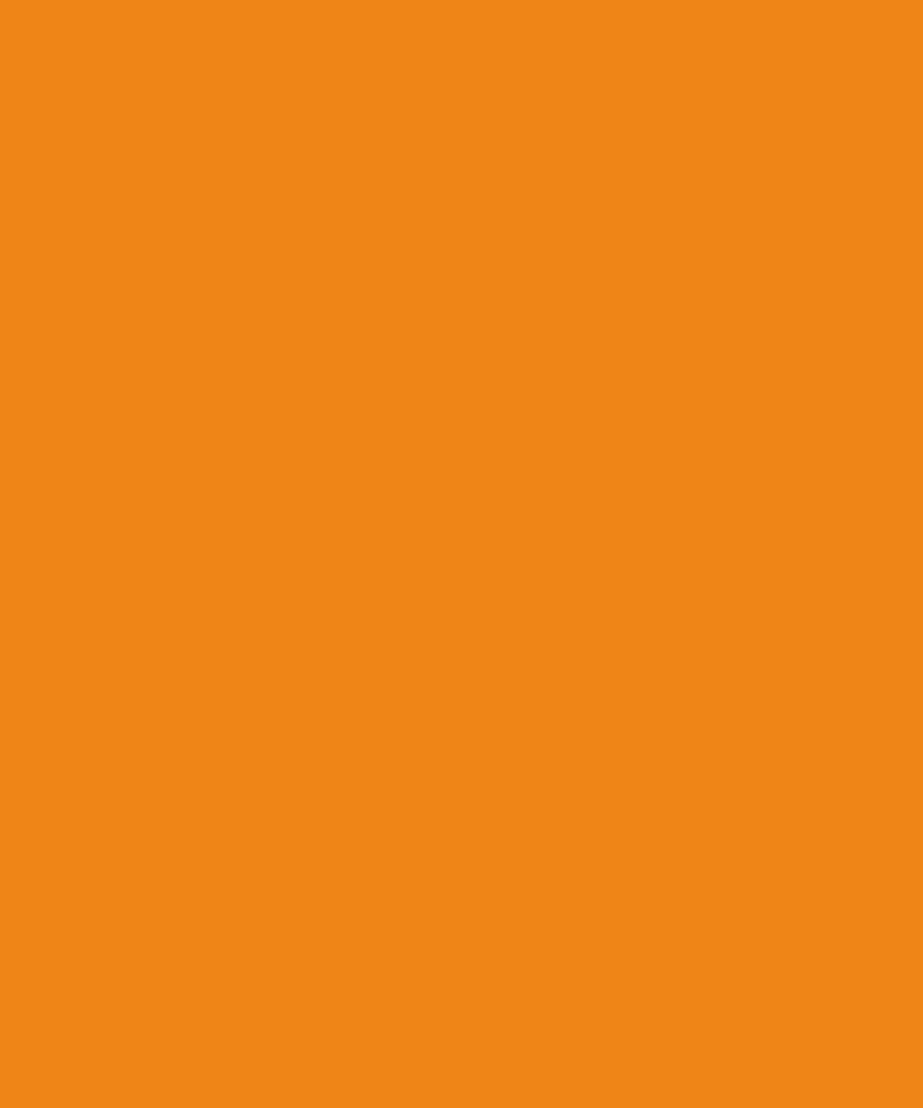 Kesri Dumalla Special Cloth